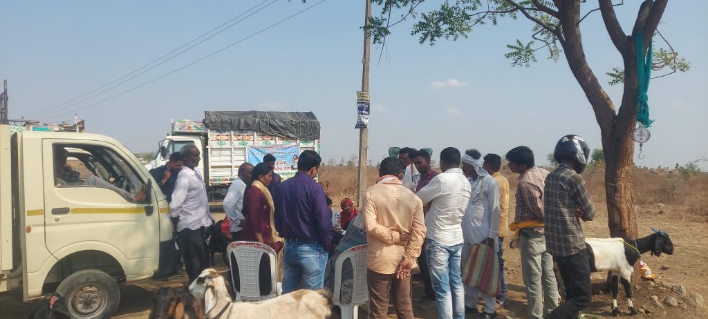 बंदिस्त शेळीपालनातून महिलेचे कुटुंब झाले आत्मनिर्भर